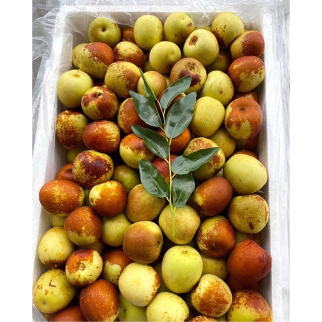 jujube Chinese, Raw